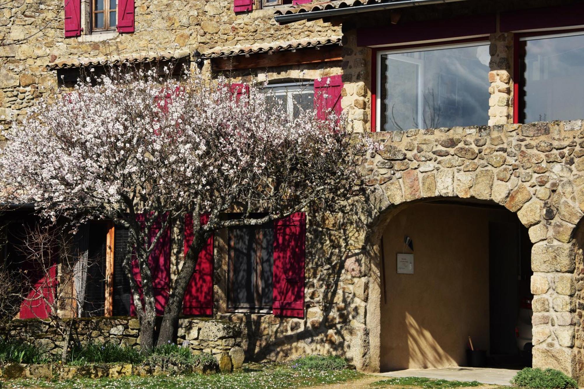 Chambre D'Hotes De Thoree Maclas 外观 照片